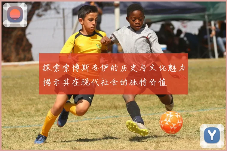 探索索博斯洛伊的历史与文化魅力揭示其在现代社会的独特价值